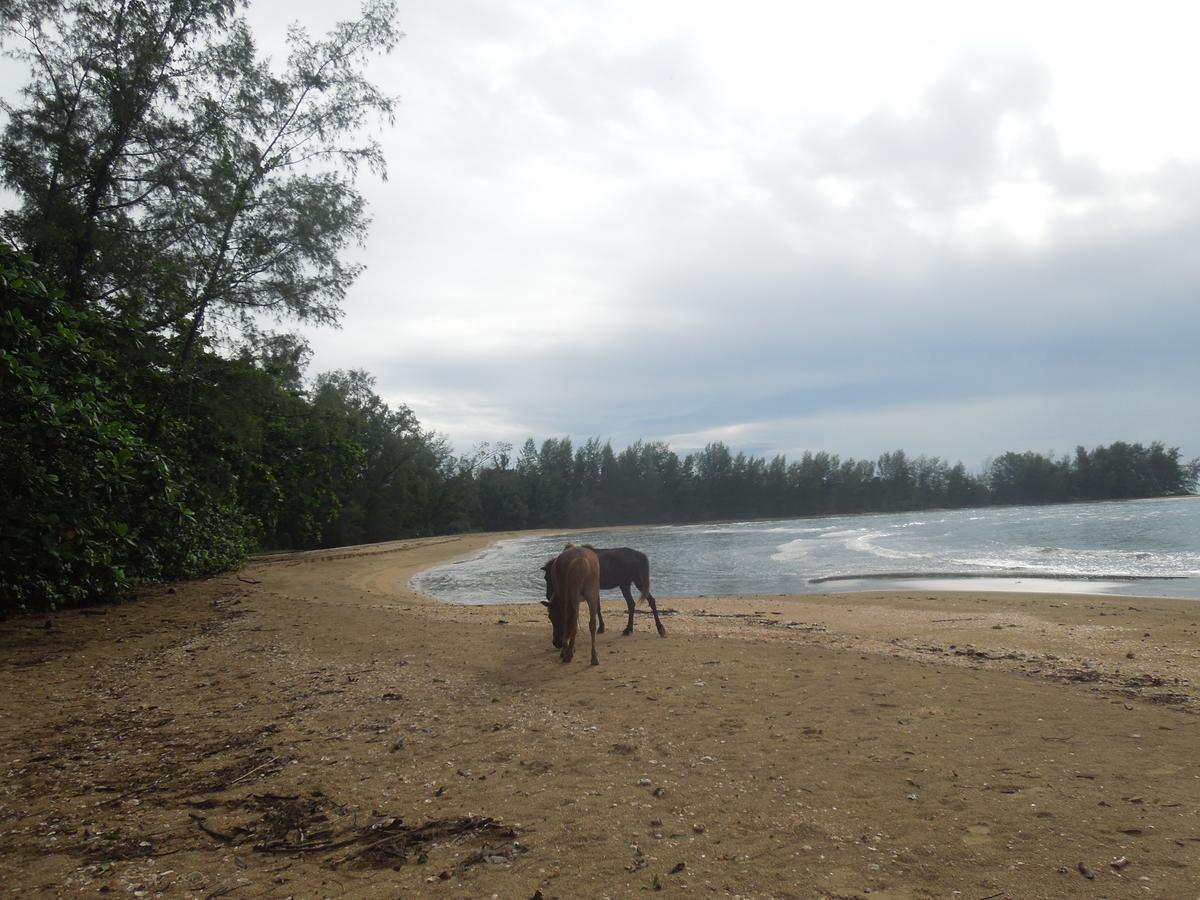 Koh Thmei Resort Phumi Kang Keng Bagian luar foto